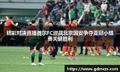 精彩对决直播首尔FC迎战北京国安争夺亚冠小组赛关键胜利